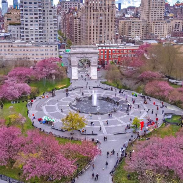 Aerial view of park with central fountain, surrounded by pink cherry blossoms and city buildings.