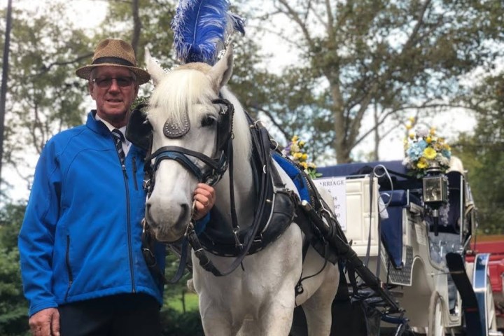 Man in blue jacket and hat stands with white horse and carriage.