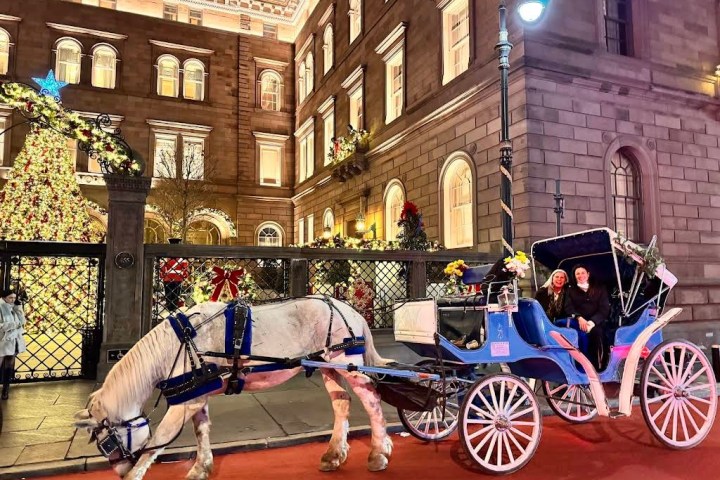 Horse-drawn carriage on city street with holiday decorations at night.