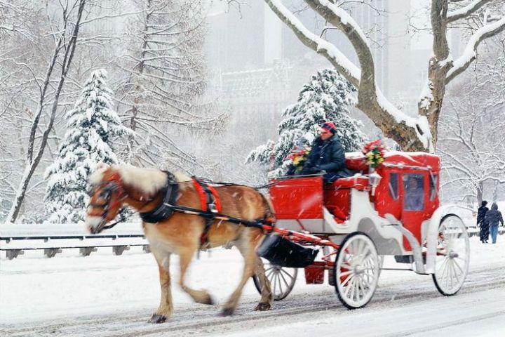 Horse-drawn red carriage in snowy park with trees and snow-covered road.