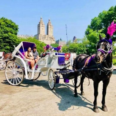 Horse-drawn carriage with people, trees, and building in the background on a sunny day.
