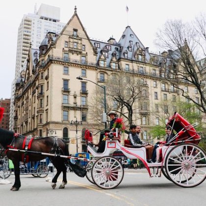 Horse-drawn carriage on city street with historic building in background.