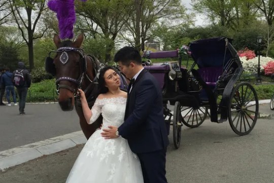 Couple in wedding attire poses by horse-drawn carriage in park.