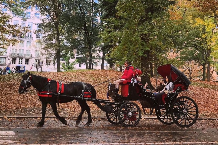 Horse-drawn carriage with driver and passengers in a park during autumn.