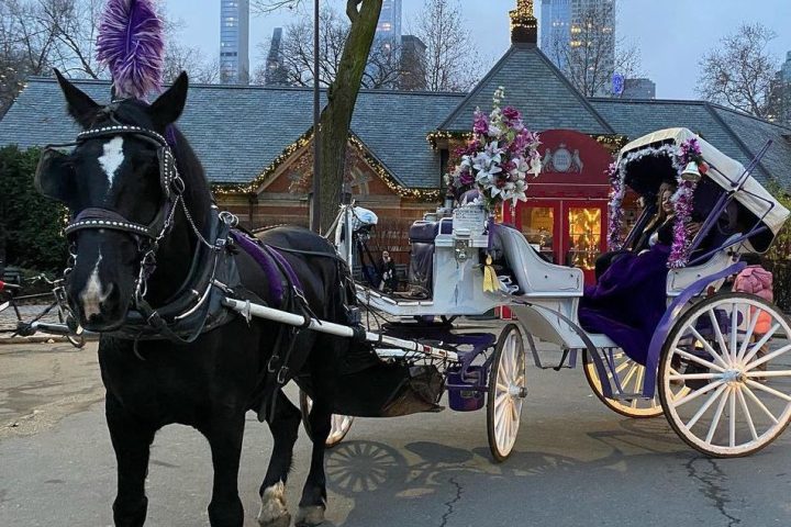 Horse-drawn carriage with flowers in a park, city skyline in the background.