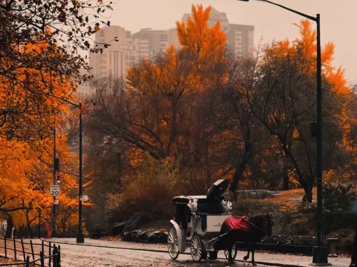 A horse-drawn carriage on a wet path with autumn trees and city skyline.