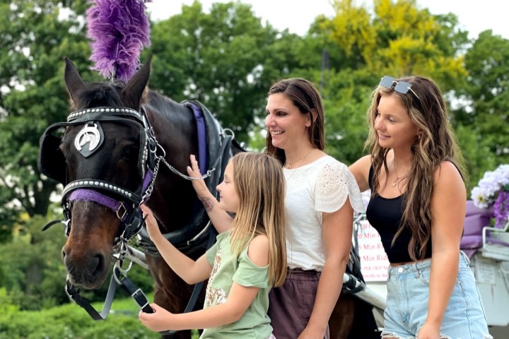Three people smiling, petting a horse with a purple feathered headpiece.