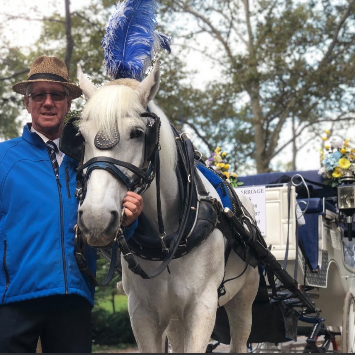 Man in a blue jacket and hat standing next to a white horse with a blue plume, attached to a decorated carriage.
