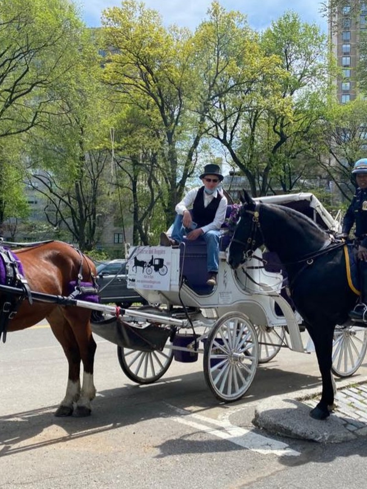 Horse-drawn carriage and police horse on a tree-lined street.