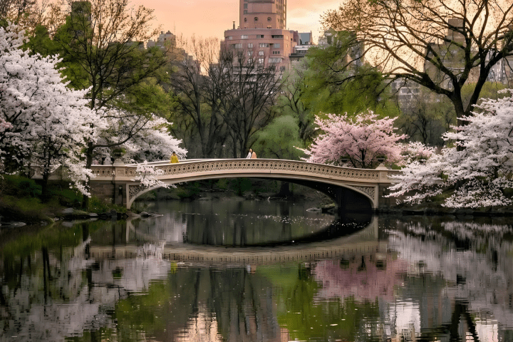 Bridge over calm water with cherry blossoms and building in background at sunset.